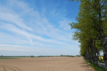 Traumhafte Lage: 8.500 m² Baugrund im Süden von Schwerin