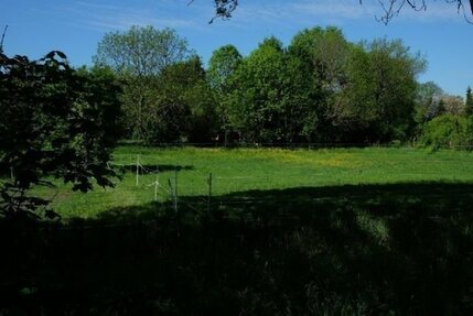 Grundstücke am Ortsausgang von Räpitz - jetzt reservieren - später bauen!