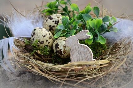 Happy - zu Ostern im neuen Familiennest - 4 Zi.+ großer Empfang