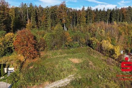 Baugrundstück mit Bergblick am Waldrand