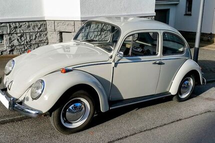 VW Käfer