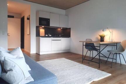 1 Zimmer Apartment mit Uninähe