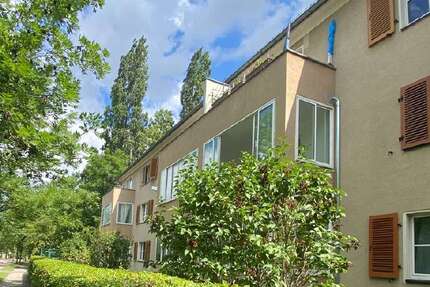 Wohnung zum Mieten in Dresden 580 € 61.25 m²