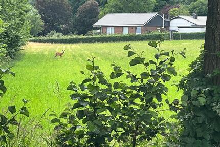 Idylle pur im Naturpark Aukrug: Kleines Haus auf wunderschönem Gr