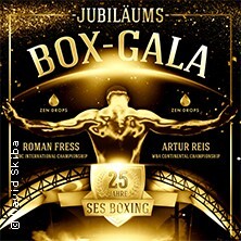 SES - Jubiläums-Box-Gala Magdeburg