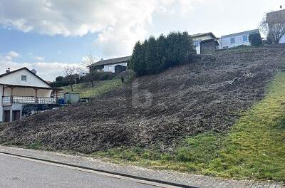 TOLLE LAGE, VIELE BAUMÖGLICHKEITEN, 765M²