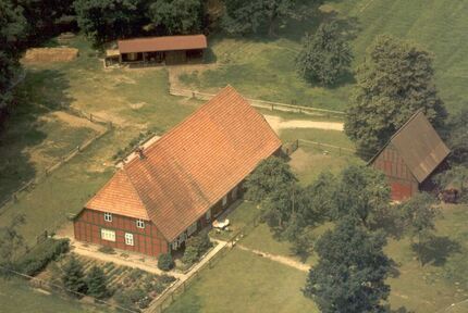 Historischer Niedersachsen- Bauernhof in Fachwerk mit Pferdeboxen u. tollen Eichenbaumbestand