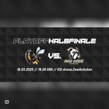 EHC Zweibrücken - Baden Rhinos | Playoff Finale Spiel 2 Zweibrücken