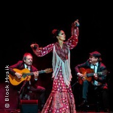 Antonio Andrade Compania Flamenca Wunstorf