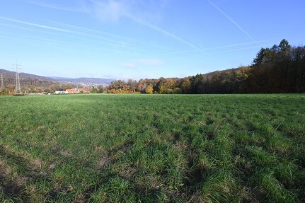 Bei Hannoversch Münden: ca. 3,8 ha landwirtschaftliche Fläche